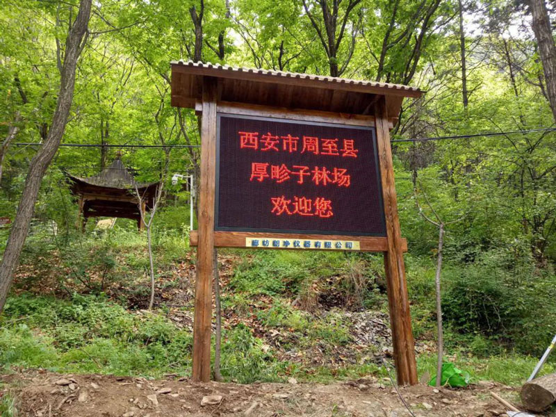 森林康养